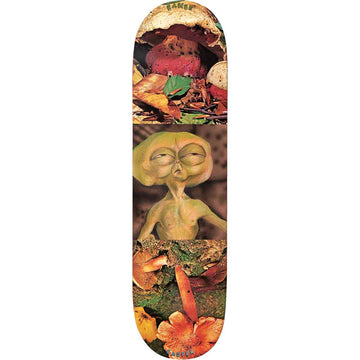 Baker Casper Booker Block Buster 8.25 Skateboard Deck