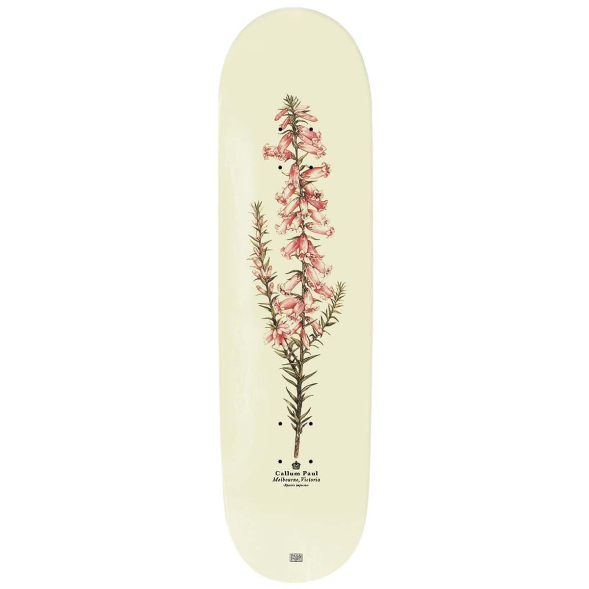 Pass~Port Callum Paul Pink Health Reissue 8.25 Skateboard Deck